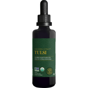 Tulsi/Holy Basil - Image 1