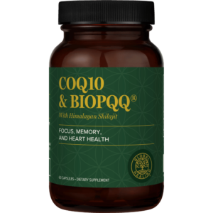 CoQ10 & BioPQQ® with Shilajit - Image 1